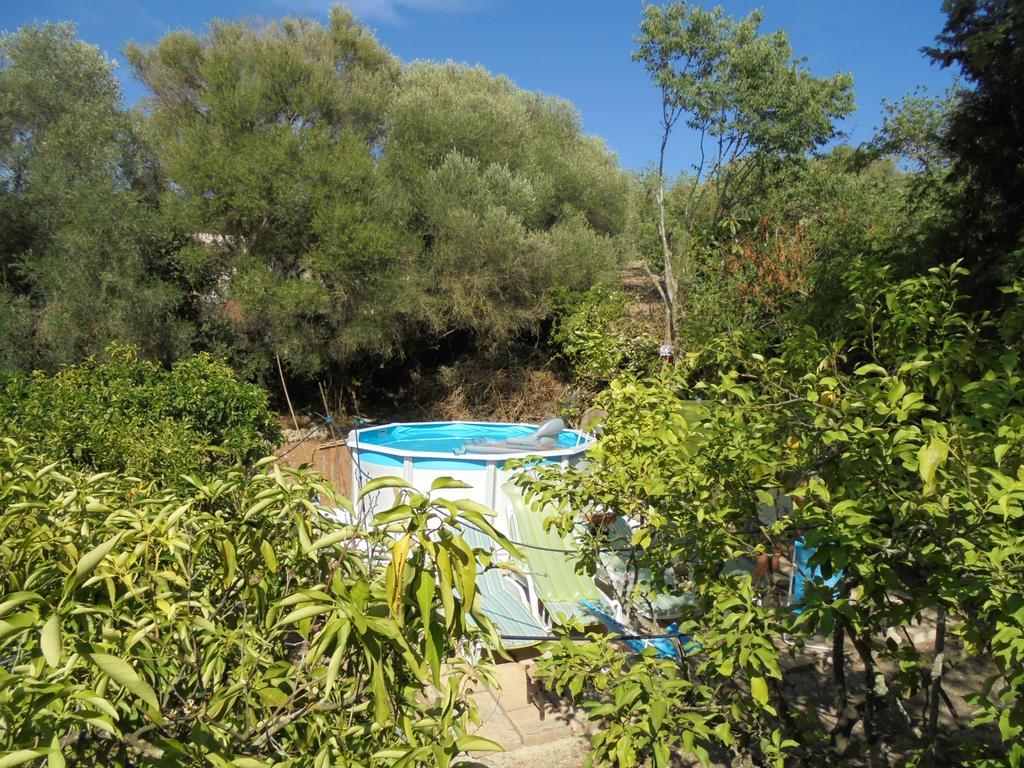 La Casita Vakantiehuis Manacor (Mallorca)