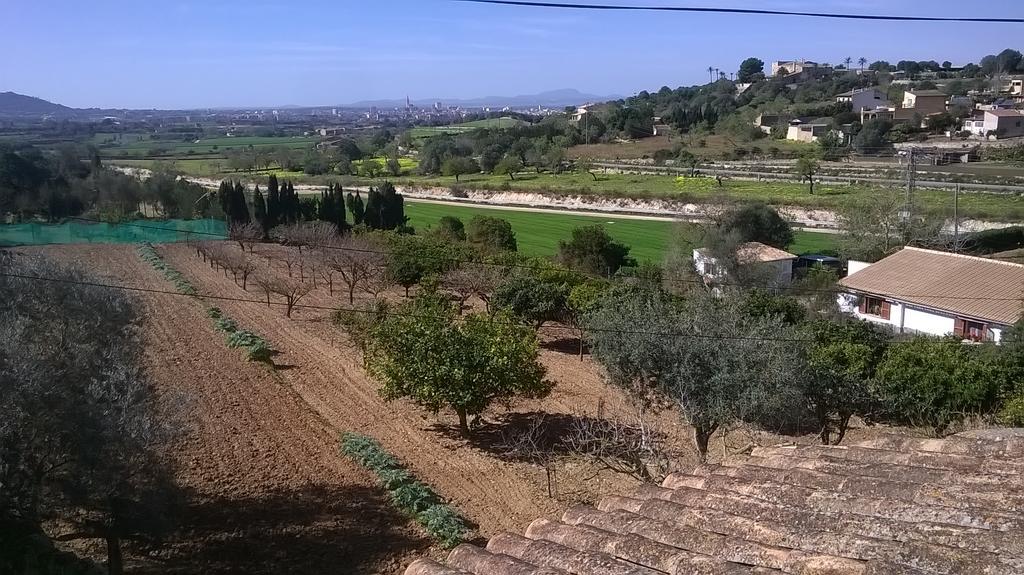 Vakantiehuis La Casita Manacor (Mallorca)